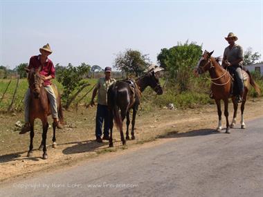 2004 Cuba, Havanna - Maria la Gorda, DSC00545 B_B720